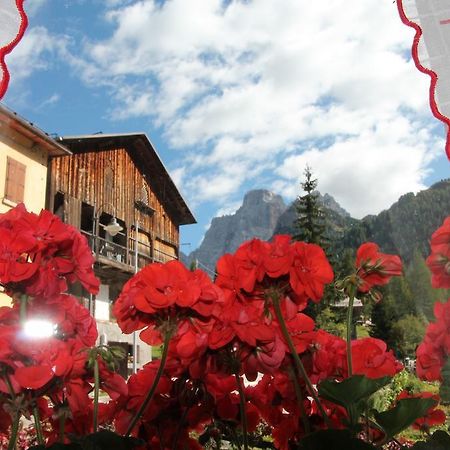 Dolomites Holidays 셀바디카도르 객실 사진
