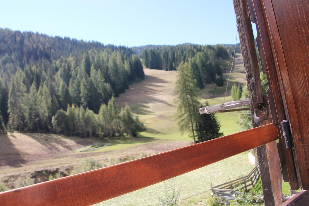 Dolomites Holidays 셀바디카도르 객실 사진
